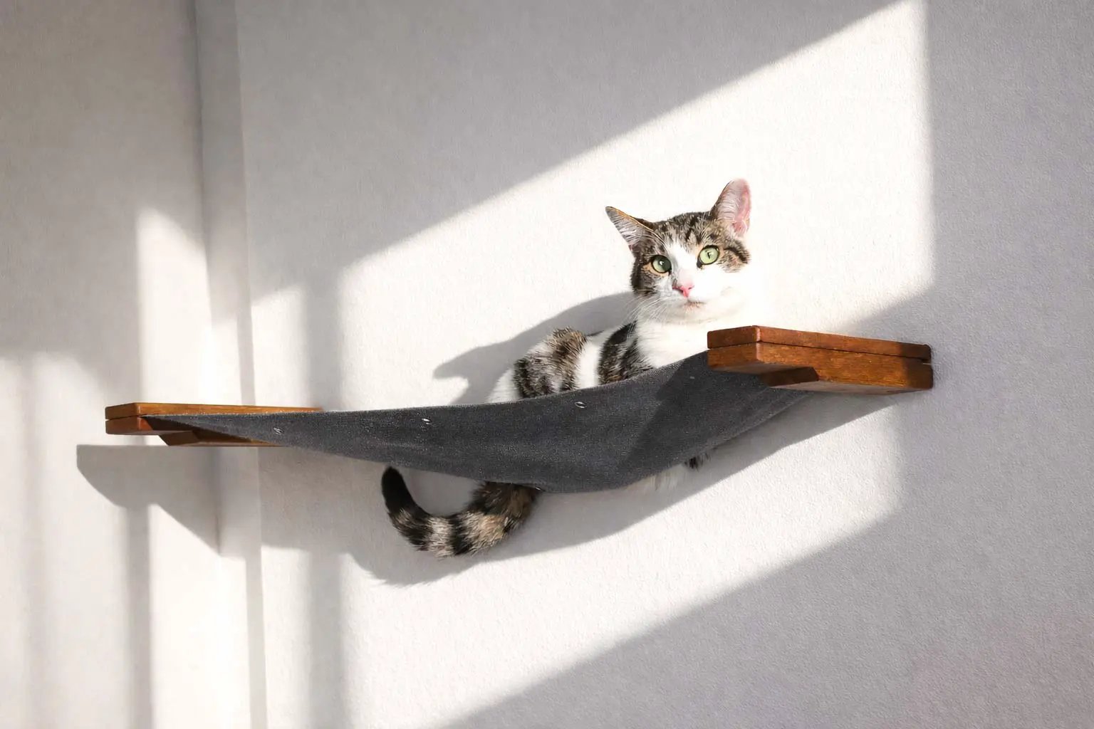 Hanging Cat Bed Hammock with gray fabric and wooden supports on a wall, cat resting on it