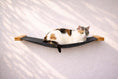 Load image into Gallery viewer, Hanging Cat Bed Hammock in dark gray fabric with wooden end caps, calico cat lounging on it
