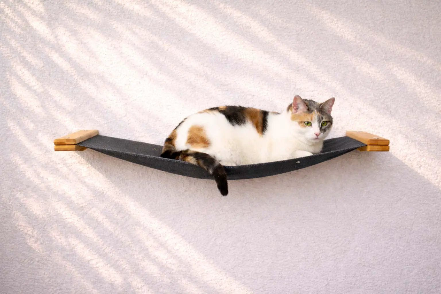 Hanging Cat Bed Hammock in dark gray fabric with wooden end caps, calico cat lounging on it
