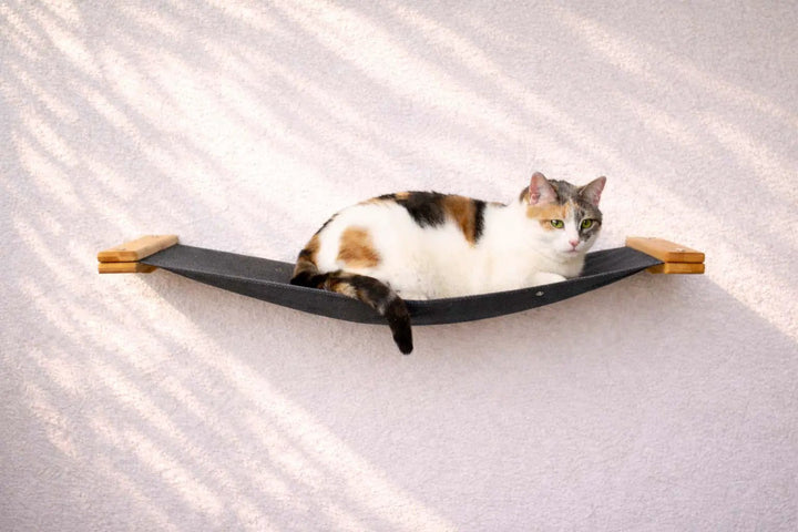 Hanging Cat Bed Hammock in dark gray fabric with wooden end caps, calico cat lounging on it