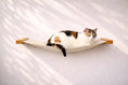 Load image into Gallery viewer, Hanging Cat Bed Hammock with wooden ends; calico cat lounging on beige fabric
