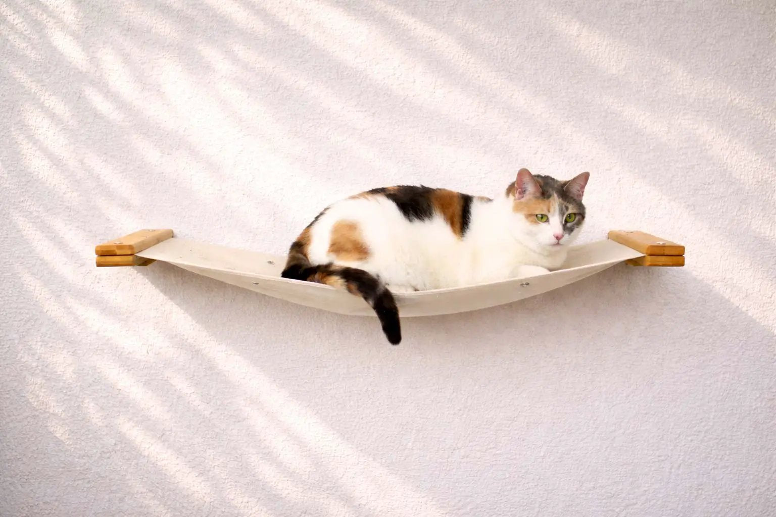 Hanging Cat Bed Hammock with wooden ends; calico cat lounging on beige fabric
