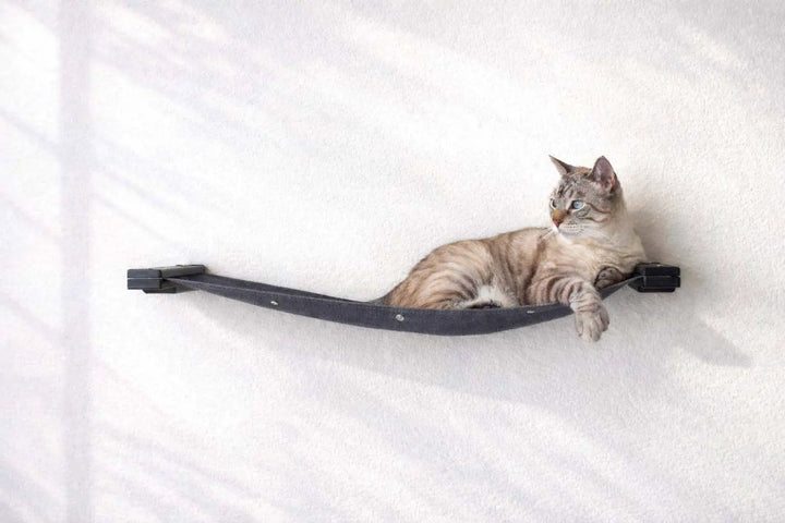 Hanging Cat Bed Hammock in charcoal-gray fabric with wall-mounted brackets.