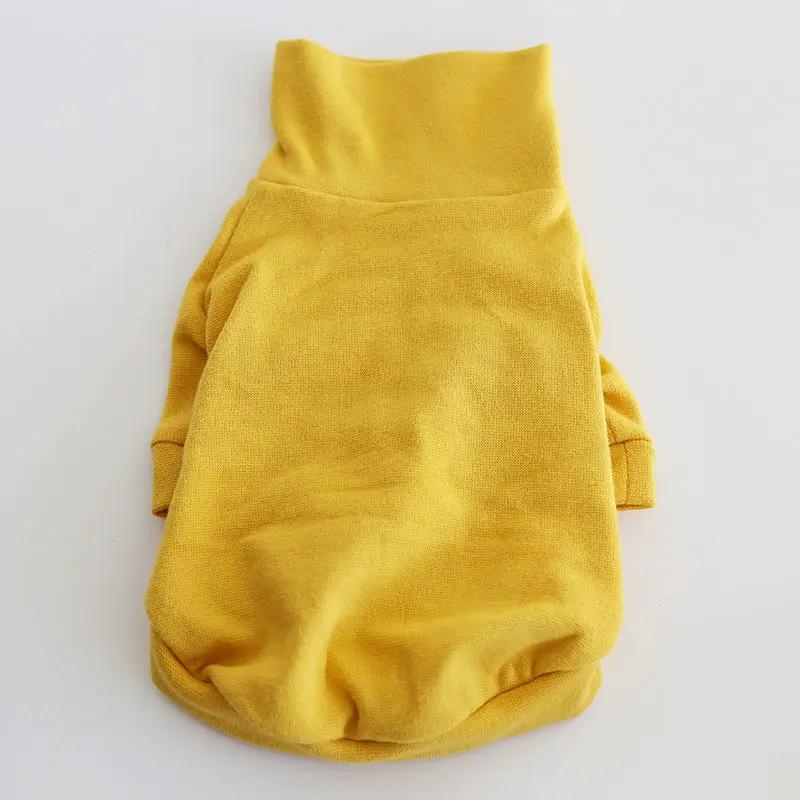 Small dog sweater, yellow knit fabric, two-legged design for spring