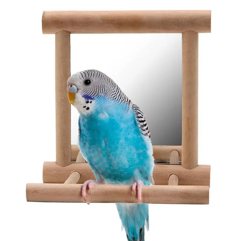 Elegant Premium Natural Solid Wood Bird Stand Featuring Double Sided Mirror Reflection For Parrots by Sell My Stuff