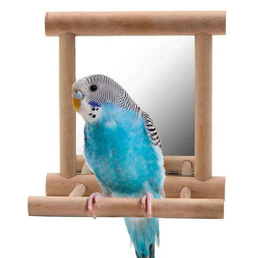 Elegant Premium Natural Solid Wood Bird Stand Featuring Double Sided Mirror Reflection For Parrots by Sell My Stuff