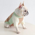 Carica l'immagine nel visualizzatore della galleria, Pug & Frenchie Color-Block Tank by SOCKPET; pastel sage green, beige and cream color blocks for dogs.

