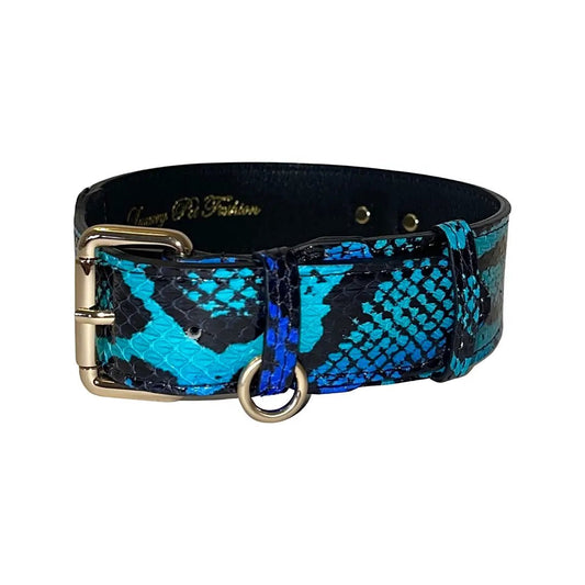 Snake-print dog collar in turquoise blue and black with gold hardware by Allysa Payne Beverly Hills