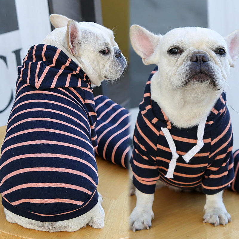 Dogs wearing navy-and-pink striped hoodies