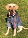 Gallery viewerに画像を読み込む, Microcrystalline reflective dog clothes by Pet Zen in iridescent holographic fabric on a golden retriever.
