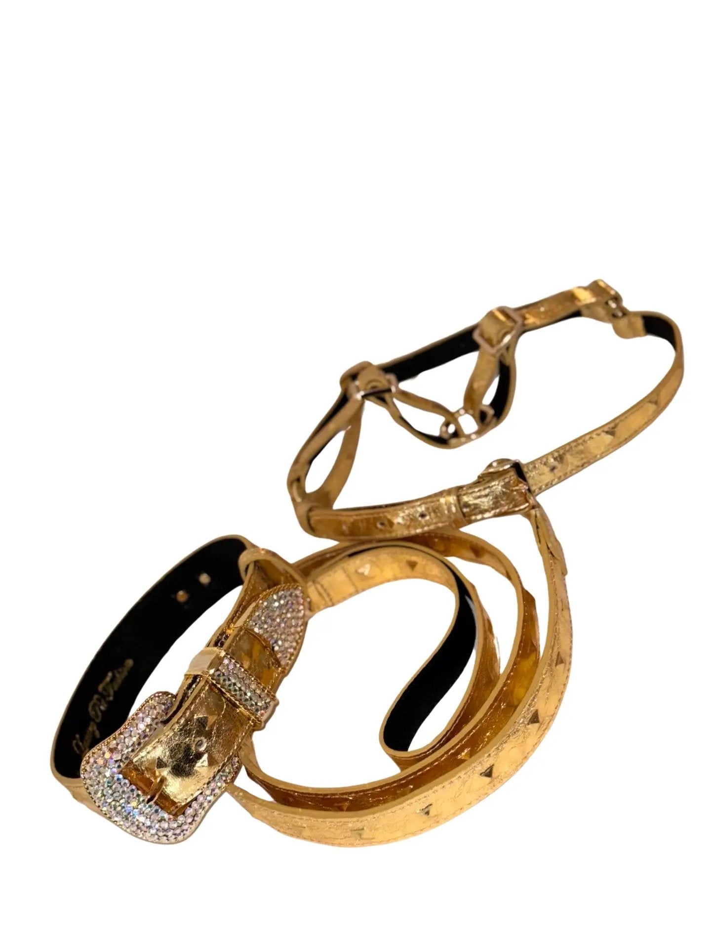 Glam Gold Leather Pet Collar Harness & Leash Set by Allysa Payne Beverly Hills