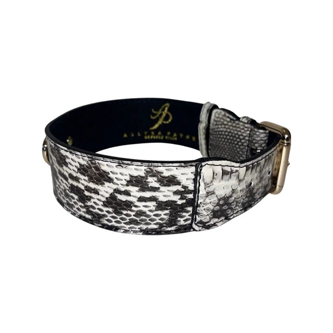 White & Black Snake Collar by Brand With Gold Hardware by Allysa Payne Beverly Hills