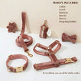 Carica l'immagine nel visualizzatore della galleria, Dusty Pink Velvet Dog Harness And Leash Set Custom Engraved No Pull by DDPaws
