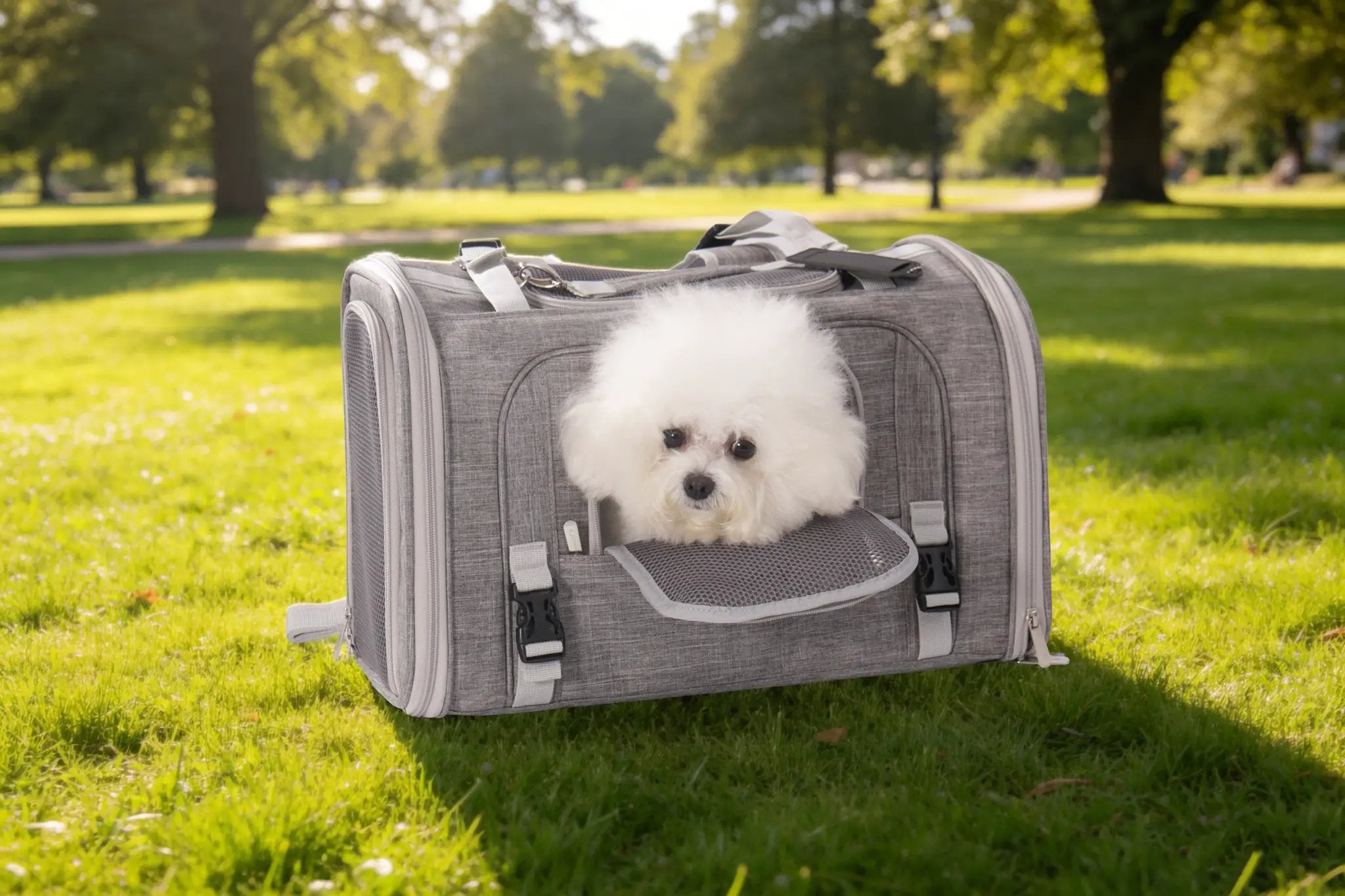 Mr. Peanut's Monterey Series airline-compliant horizontal backpack pet carrier, gray fabric, dog peeking out.