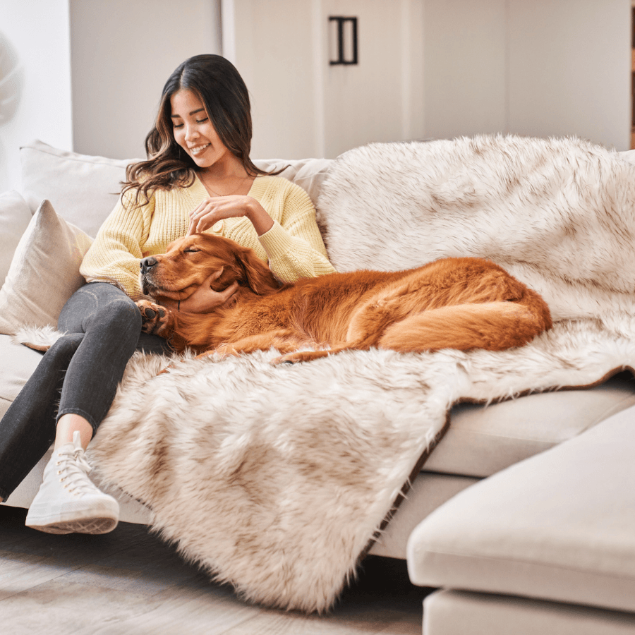 PupProtector™ Waterproof Throw Blanket for dogs, white with brown accents on a sofa.