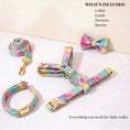 Charger l'image dans la visionneuse de la galerie, Premium Dreamy Rainbow Print Set Complete Three Piece Dog Harness Collar Leash Collection by DDPaws
