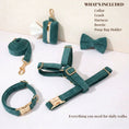 Cargar la imagen en la vista de la galería, Personalized Dark Green Corduroy Harness Collar Leash No Pull Set by DDPaws
