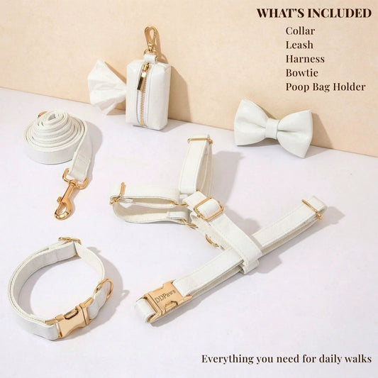 Classic Elegance White Premium Leather Dog Walking Collar Leash Set by DDPaws