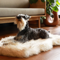 Load image into Gallery viewer, PupRug by Paw.com Faux Fur Orthopedic Dog Bed, curved white with brown accents.
