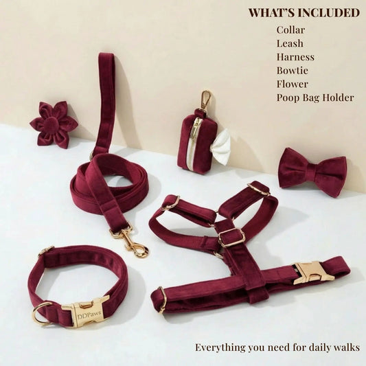 Red Wine Velvet Dog Harness Collar Leash Set Elegant Walking Wear by DDPaws