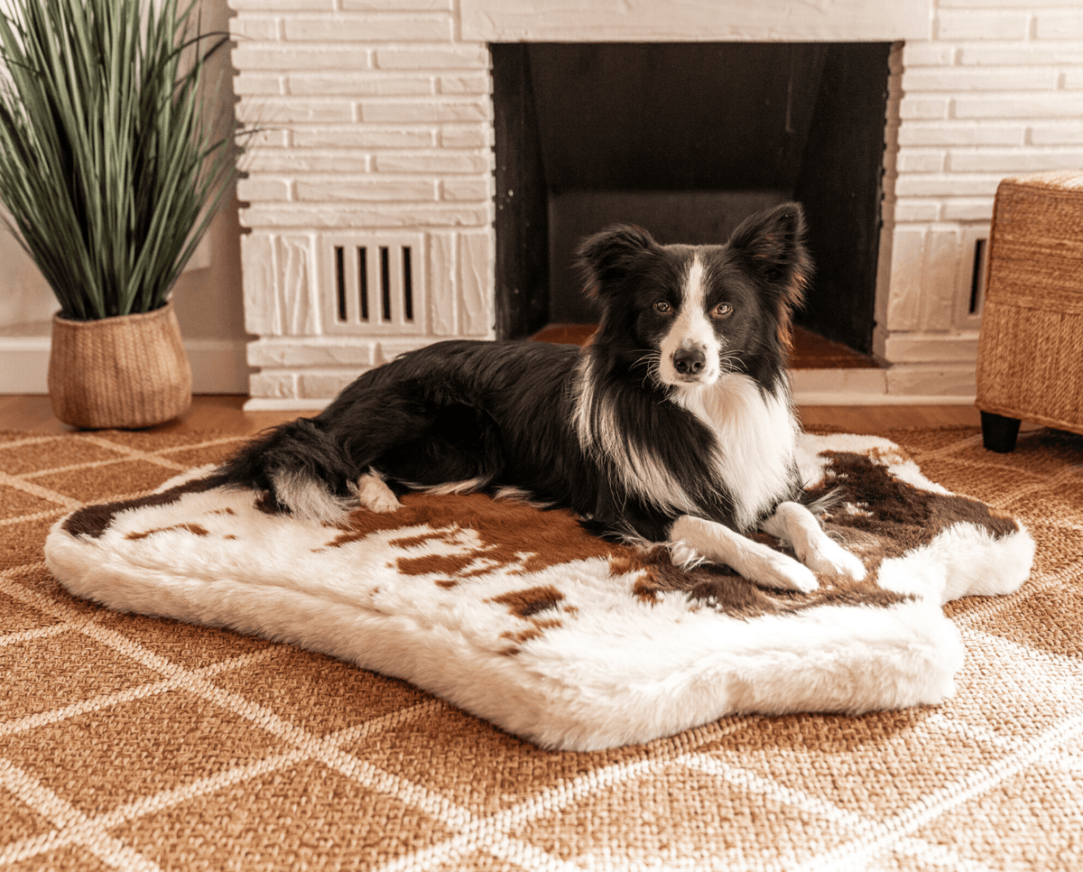 PupRug Animal Print Memory Foam Dog Bed in brown faux cowhide, Paw.com