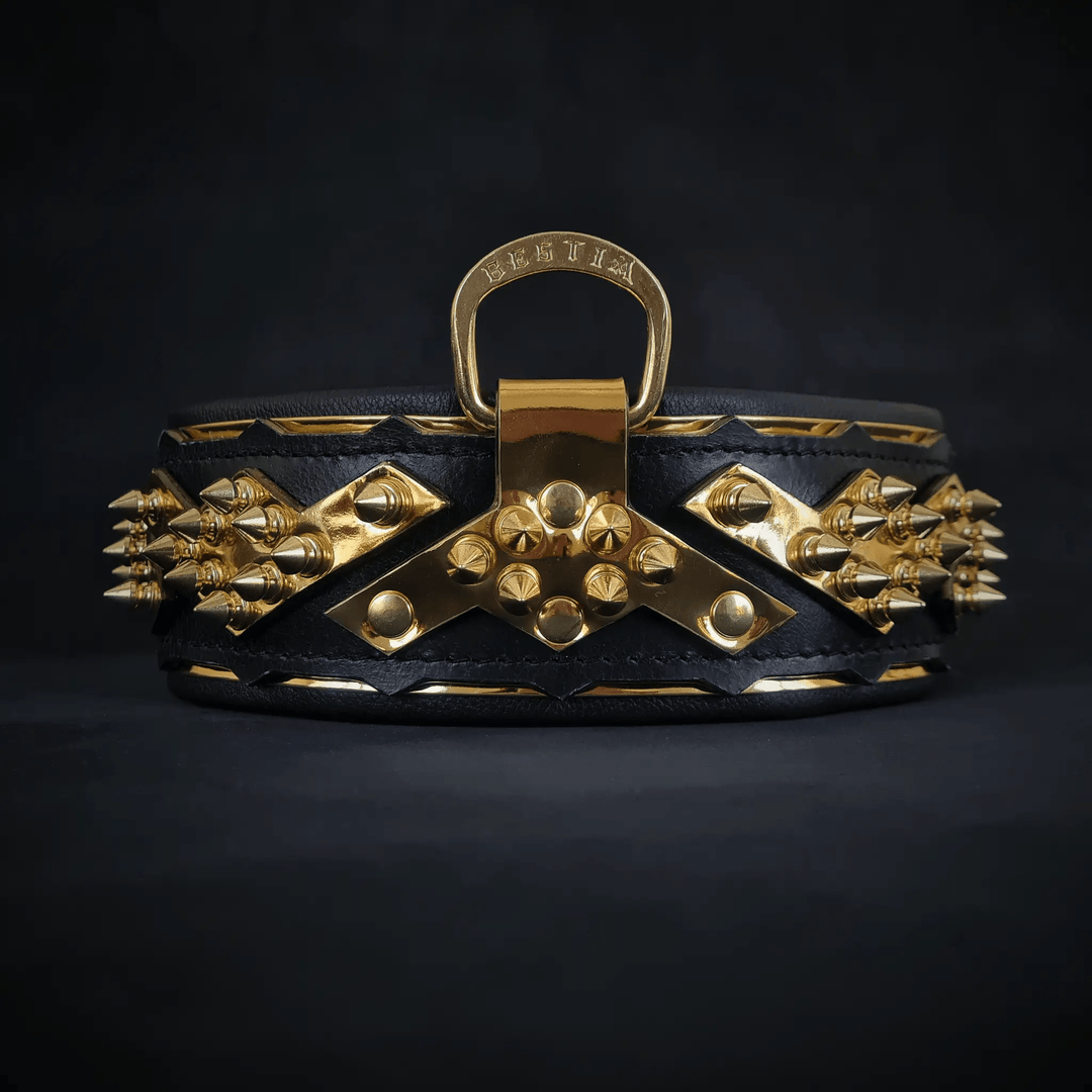Bestia Midas black leather dog collar with gold spikes