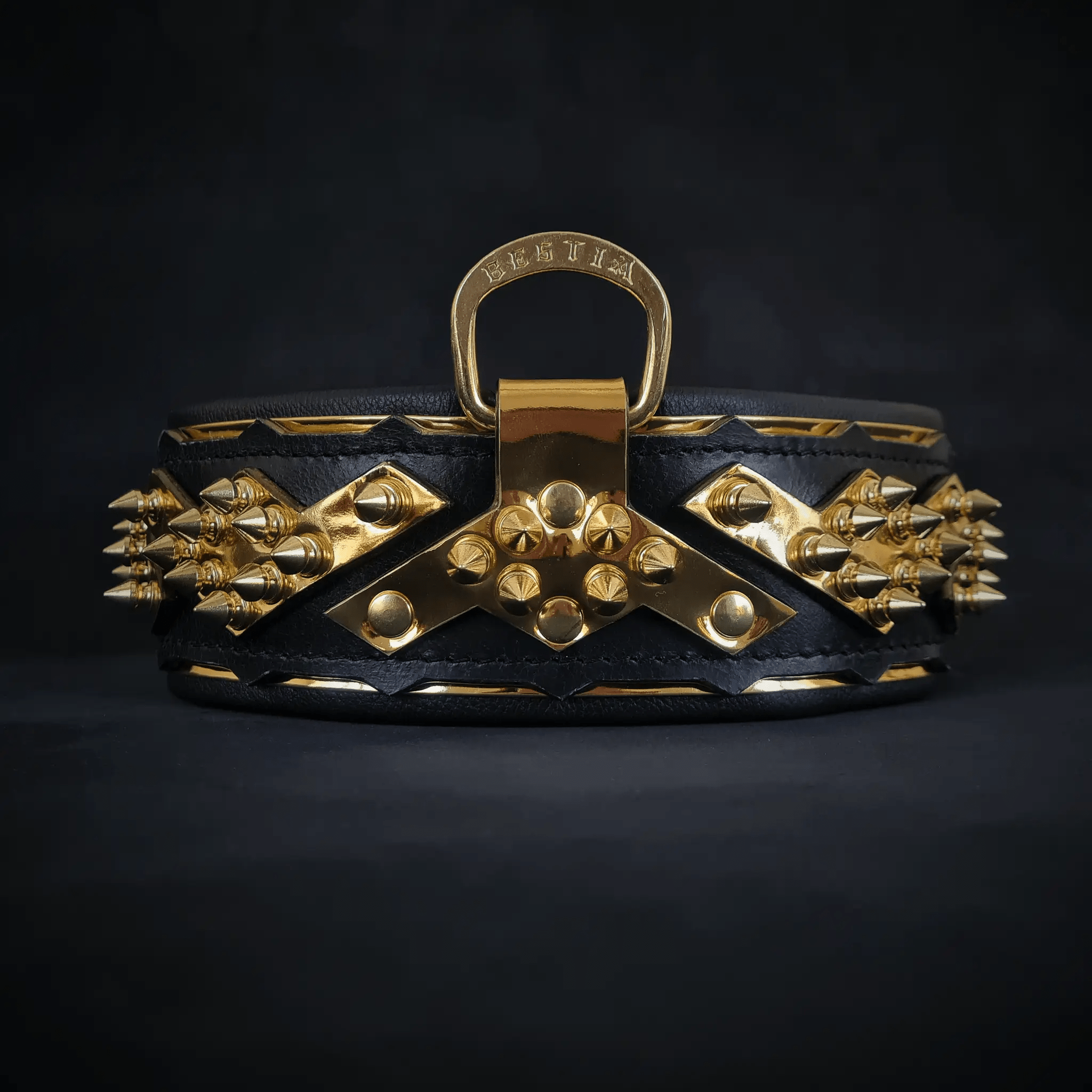 The ''Midas'' Collar Gold - Pet Collars & Harnesses from Bestia Dog Gear
