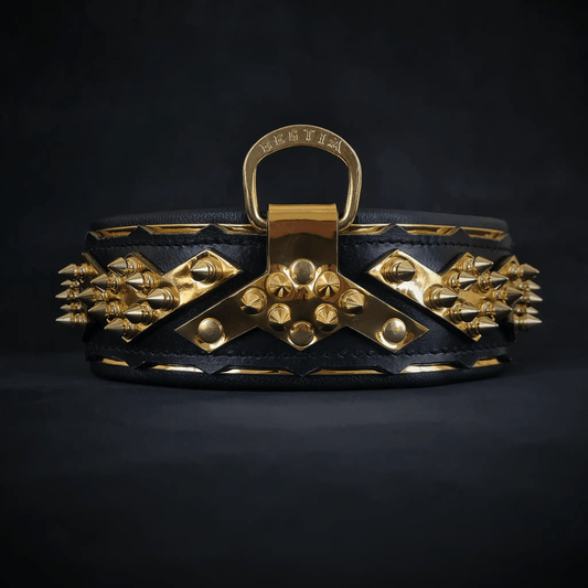The ''Midas'' Collar Gold - Pet Collars & Harnesses from Bestia Dog Gear