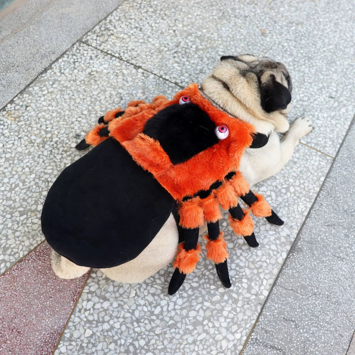 Pet Halloween spider costume in orange plush fur with black legs on dog