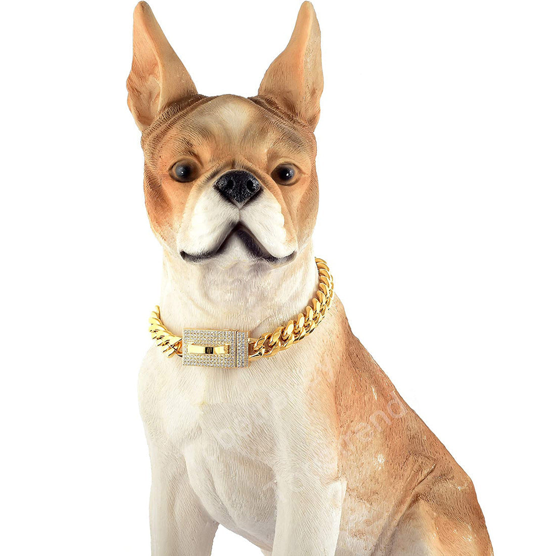Dog wearing 10mm gold-tone chain collar