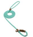 Bild in Galerie-Betrachter laden, Nylon Pup Set Premium Leather Collar Leash Double Stitch Design by For Animals, With Love
