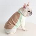 Carica l'immagine nel visualizzatore della galleria, Pug & Frenchie Color-Block Tank, pastel brown, mint, and cream color blocks for pet costume
