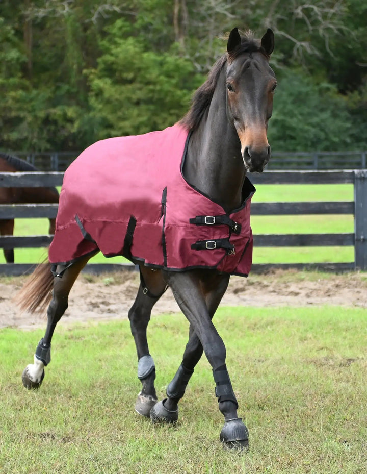 Gatsby Premium 1200D WP Turnout Blanket, pink on horse.