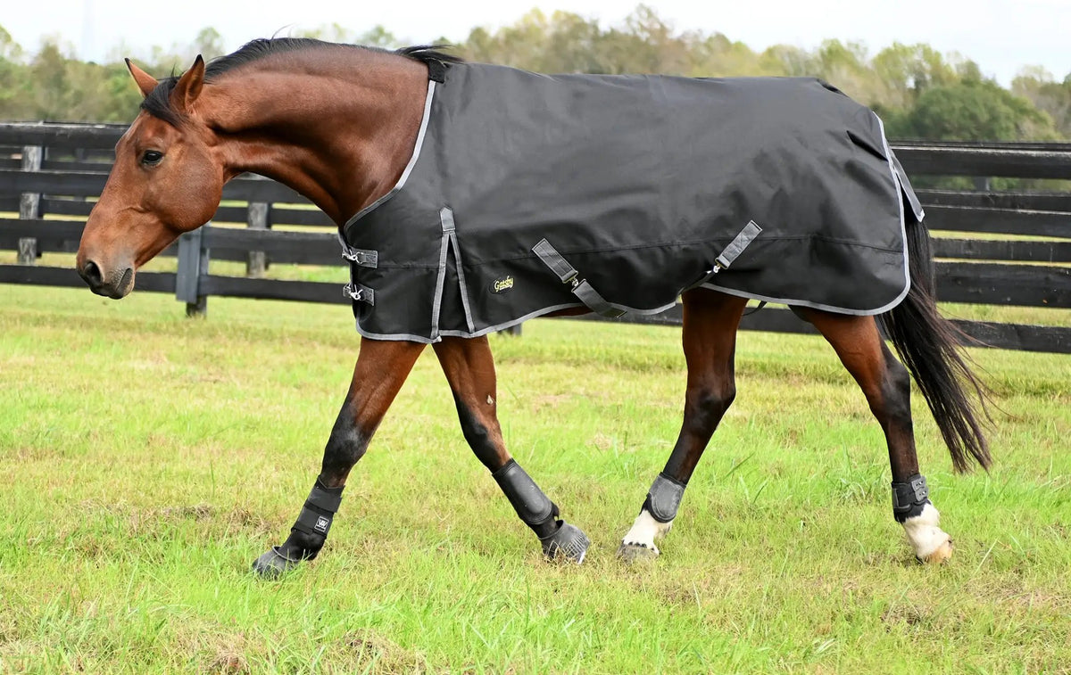 Gatsby Premium 1200D WP Turnout Blanket by StateLineTack, dark gray waterproof horse blanket