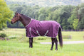 Load image into Gallery viewer, Turnout sheet Gatsby Shield 1200D waterproof by StateLineTack, purple with white trim on a horse.
