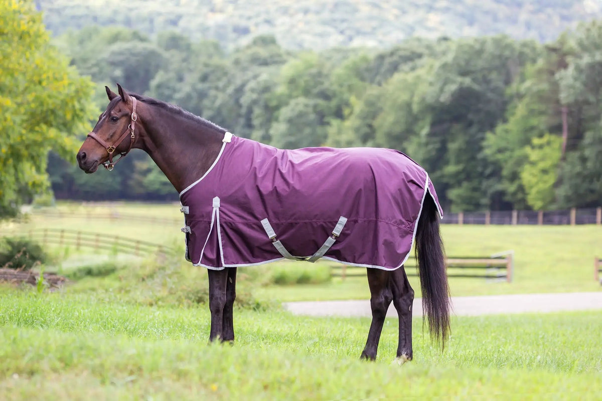 Turnout sheet Gatsby Shield 1200D waterproof by StateLineTack, purple with white trim on a horse.