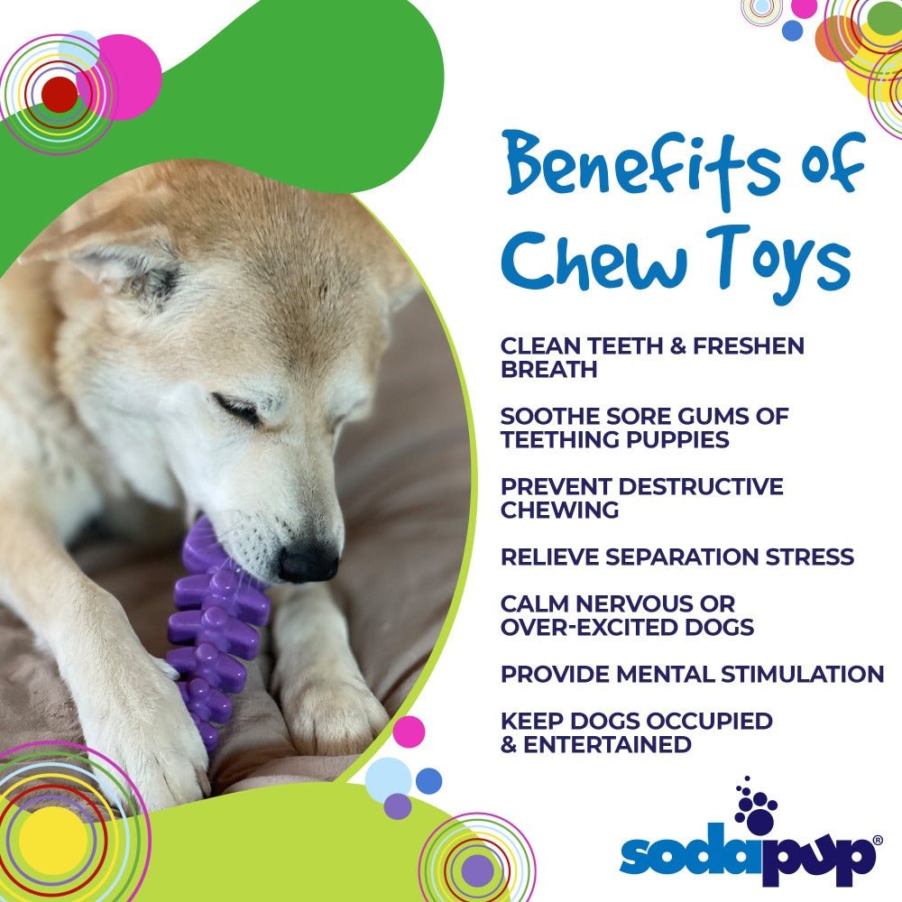SodaPup Fish Bone nylon dog chew toy in purple and brown, view 6