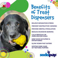 Cargar la imagen en la vista de la galería, Honey Bear Durable Rubber Treat Dispenser Dog Toy
