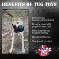 Bild in Galerie-Betrachter laden, USA-K9 Magnum Skull Black Durable Rubber Chew Toy Extreme Chewers by SodaPup/True Dogs, LLC
