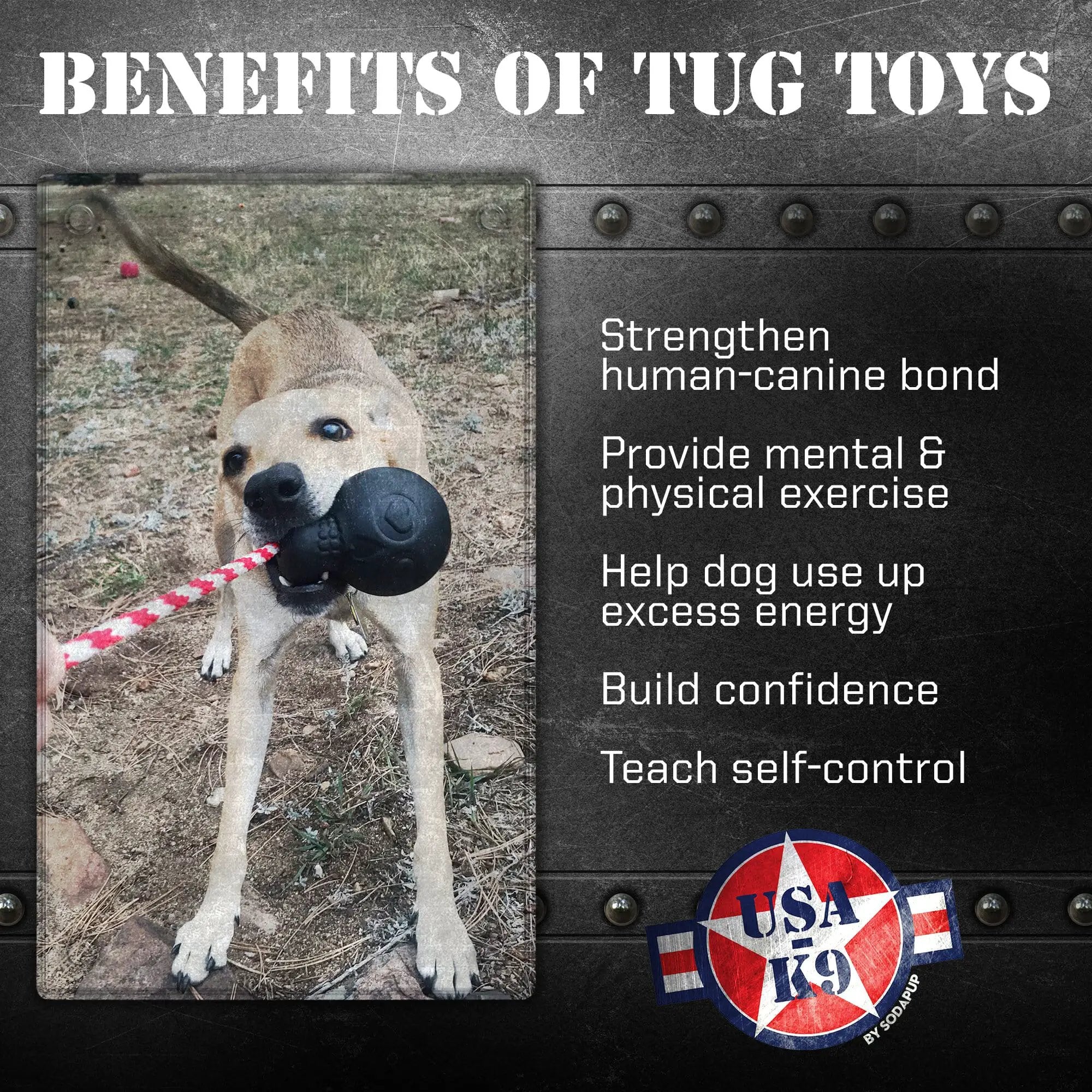 USA-K9 Magnum Skull Black Durable Rubber Chew Toy Extreme Chewers by SodaPup/True Dogs, LLC