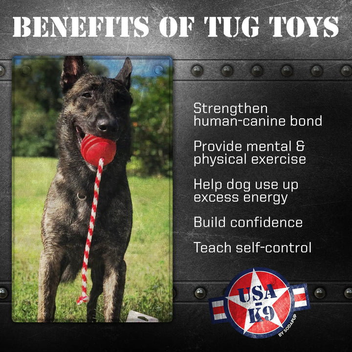 SodaPup USA-K9 Stars and Stripes rubber reward toy in red, view 3