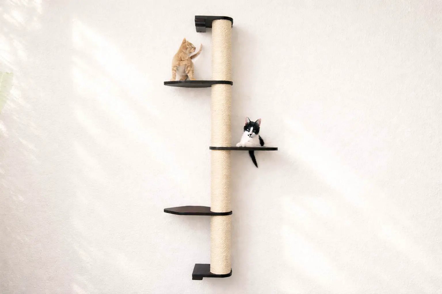 Wall Mounted Cat Climbing Pole - Sisal cat scratcher with dark platforms; two cats perched on the shelves.
