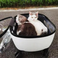 Carica l'immagine nel visualizzatore della galleria, Transparent capsule pet travel trolley carrier by VIP Digital Presence, white with clear sides, holding two cats.
