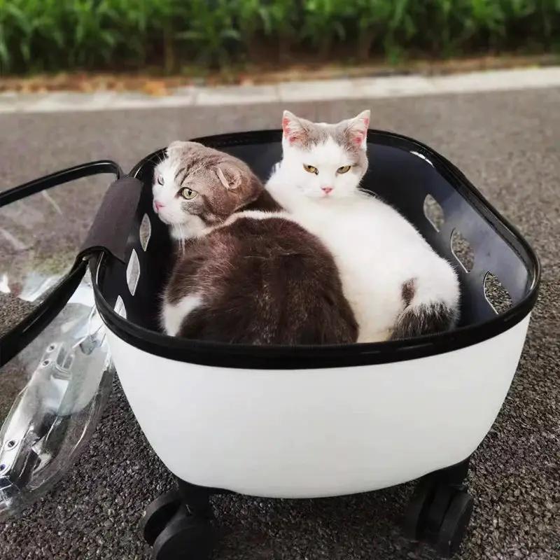 Transparent capsule pet travel trolley carrier by VIP Digital Presence, white with clear sides, holding two cats.