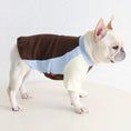 Carica l'immagine nel visualizzatore della galleria, Pug & Frenchie Color-Block Tank for dogs by SOCKPET in brown, blue, and cream.
