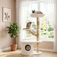 Bild in Galerie-Betrachter laden, Cat Tree by DirectDeals, 41-inch tall with white rope-wrapped posts, real wood branches, 3 cats perched.
