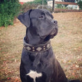 Bild in Galerie-Betrachter laden, "Aztec" black dog collar by Bestia Dog Gear
