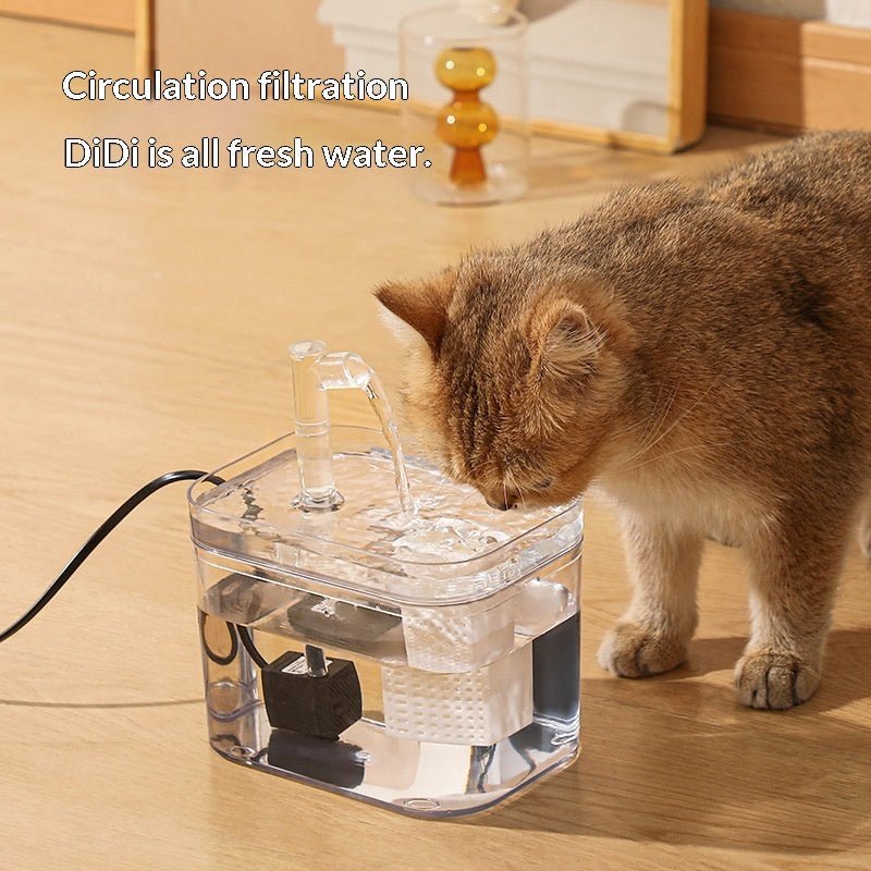Cat drinking from clear faucet-style fountain