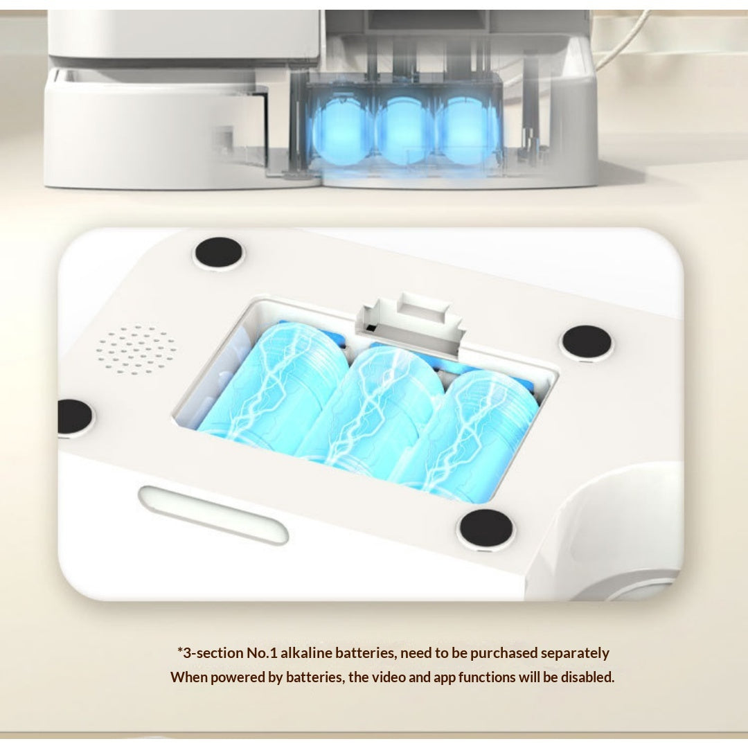 Three-cell backup battery compartment and feature limits