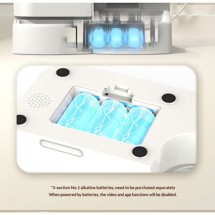 Three-cell backup battery compartment and feature limits